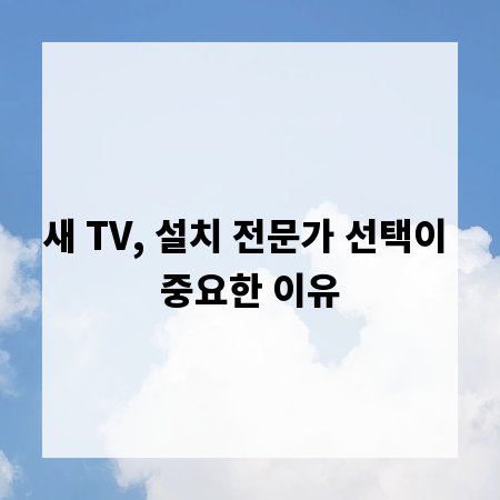 새 TV, 설치 전문가 선택이 중요한 이유