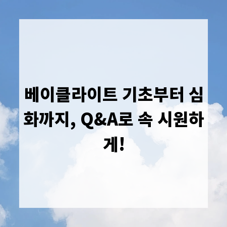 베이클라이트 기초부터 심화까지, Q&A로 속 시원하게!
