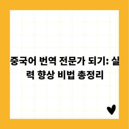 중국어 번역 전문가 되기: 실력 향상 비법 총정리