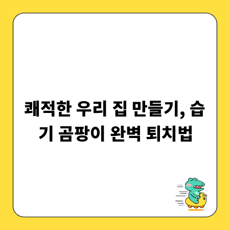 쾌적한 우리 집 만들기, 습기 곰팡이 완벽 퇴치법