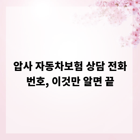 압사 자동차보험 상담 전화번호, 이것만 알면 끝