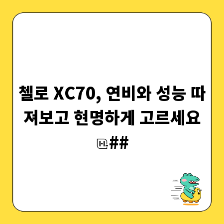 첼로 XC70, 연비와 성능 따져보고 현명하게 고르세요
##