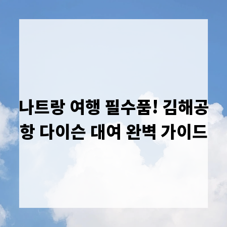 나트랑 여행 필수품! 김해공항 다이슨 대여 완벽 가이드