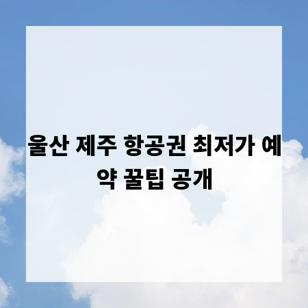 울산 제주 항공권 최저가 예약 꿀팁 공개