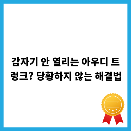 갑자기 안 열리는 아우디 트렁크? 당황하지 않는 해결법