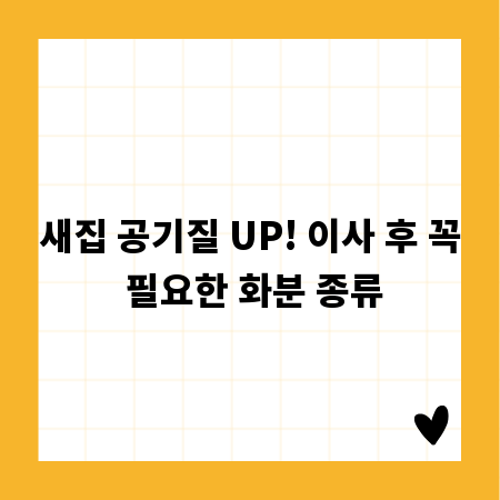 새집 공기질 UP! 이사 후 꼭 필요한 화분 종류
