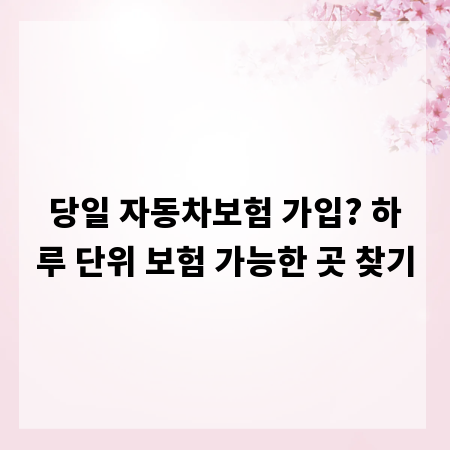 당일 자동차보험 가입? 하루 단위 보험 가능한 곳 찾기