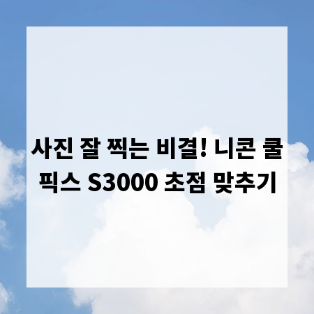 사진 잘 찍는 비결! 니콘 쿨픽스 S3000 초점 맞추기