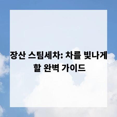 장산 스팀세차: 차를 빛나게 할 완벽 가이드