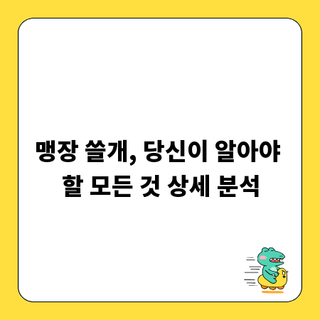 맹장 쓸개, 당신이 알아야 할 모든 것 상세 분석