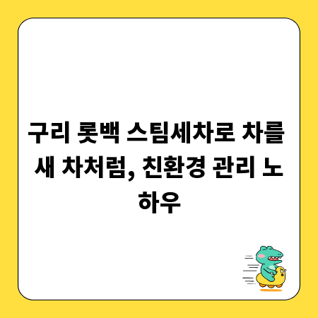 구리 롯백 스팀세차로 차를 새 차처럼, 친환경 관리 노하우