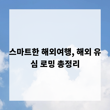 스마트한 해외여행, 해외 유심 로밍 총정리