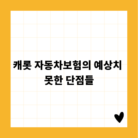 캐롯 자동차보험의 예상치 못한 단점들