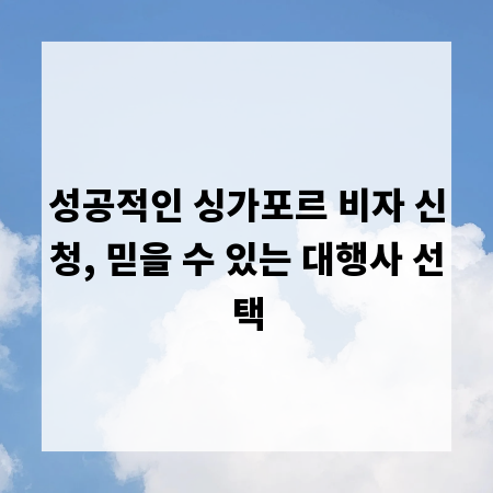 성공적인 싱가포르 비자 신청, 믿을 수 있는 대행사 선택