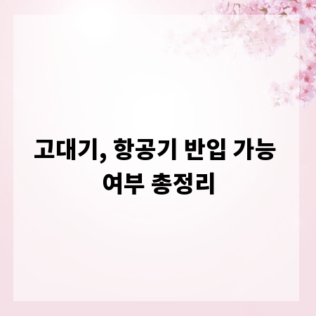고대기, 항공기 반입 가능 여부 총정리