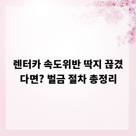 렌터카 속도위반 딱지 끊겼다면? 벌금 절차 총정리