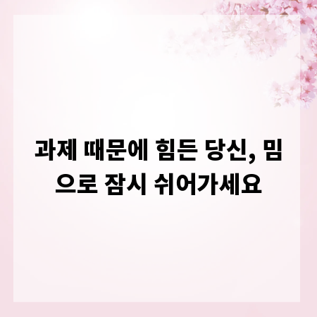 과제 때문에 힘든 당신, 밈으로 잠시 쉬어가세요