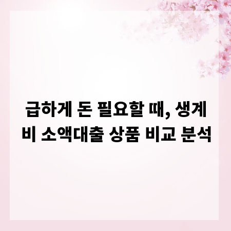 급하게 돈 필요할 때, 생계비 소액대출 상품 비교 분석