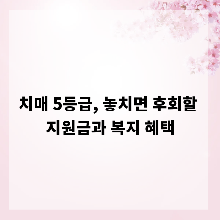 치매 5등급, 놓치면 후회할 지원금과 복지 혜택