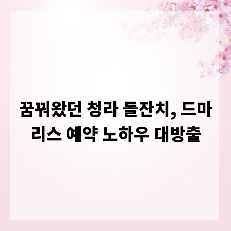 꿈꿔왔던 청라 돌잔치, 드마리스 예약 노하우 대방출