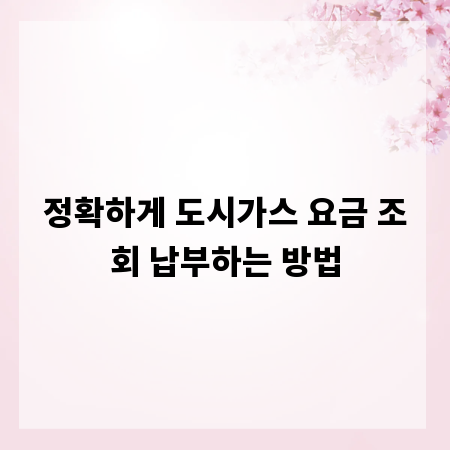 정확하게 도시가스 요금 조회 납부하는 방법