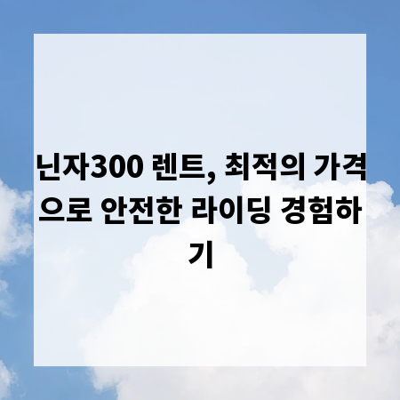 닌자300 렌트, 최적의 가격으로 안전한 라이딩 경험하기