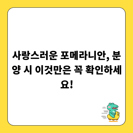 사랑스러운 포메라니안, 분양 시 이것만은 꼭 확인하세요!