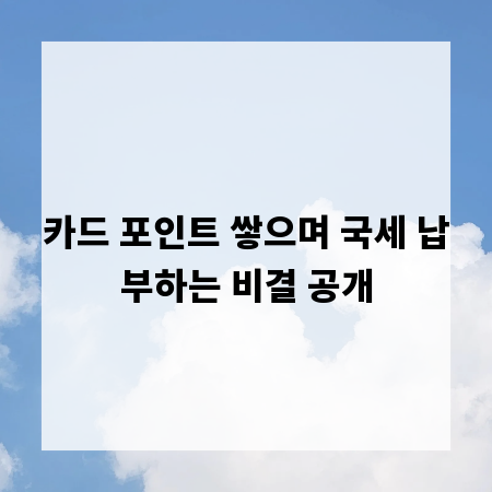 카드 포인트 쌓으며 국세 납부하는 비결 공개