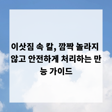 이삿짐 속 칼, 깜짝 놀라지 않고 안전하게 처리하는 만능 가이드