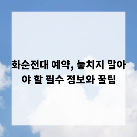 화순전대 예약, 놓치지 말아야 할 필수 정보와 꿀팁