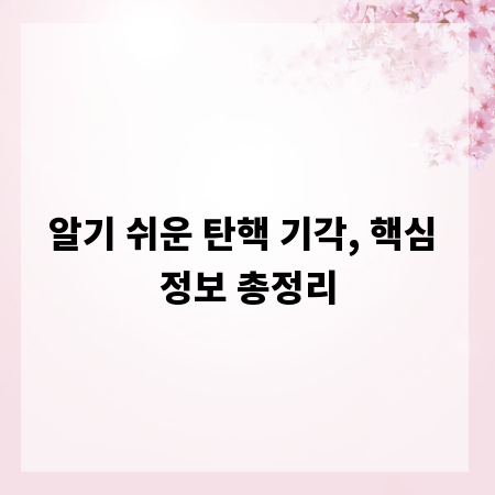 알기 쉬운 탄핵 기각, 핵심 정보 총정리