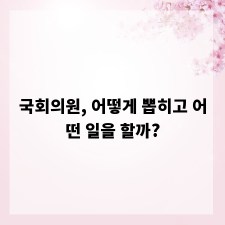 국회의원, 어떻게 뽑히고 어떤 일을 할까?