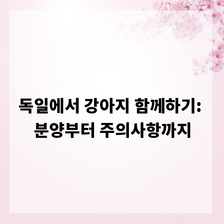 독일에서 강아지 함께하기: 분양부터 주의사항까지