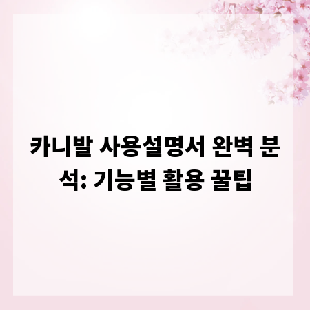 카니발 사용설명서 완벽 분석: 기능별 활용 꿀팁