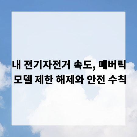 내 전기자전거 속도, 매버릭 모델 제한 해제와 안전 수칙