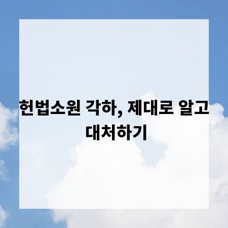 헌법소원 각하, 제대로 알고 대처하기