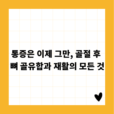 통증은 이제 그만, 골절 후 뼈 골유합과 재활의 모든 것