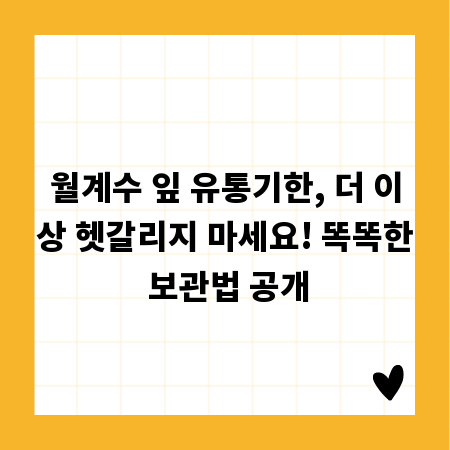 월계수 잎 유통기한, 더 이상 헷갈리지 마세요! 똑똑한 보관법 공개