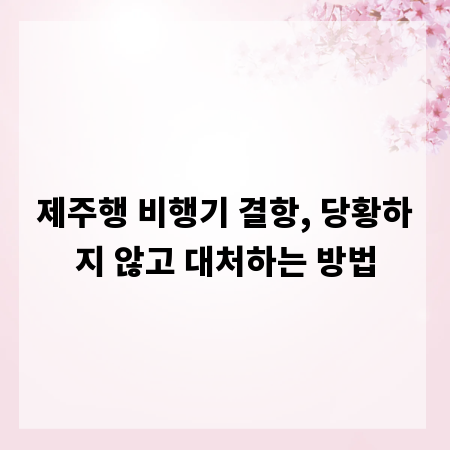제주행 비행기 결항, 당황하지 않고 대처하는 방법