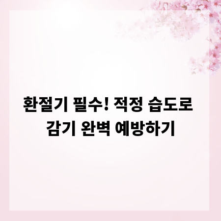 환절기 필수! 적정 습도로 감기 완벽 예방하기