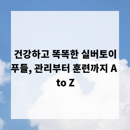 건강하고 똑똑한 실버토이푸들, 관리부터 훈련까지 A to Z