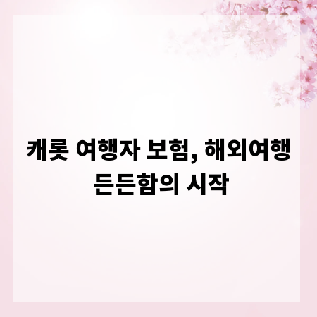 캐롯 여행자 보험, 해외여행 든든함의 시작