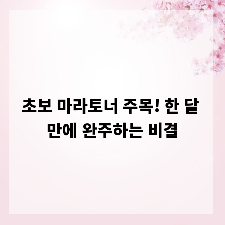 초보 마라토너 주목! 한 달 만에 완주하는 비결