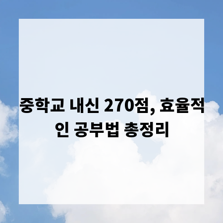 중학교 내신 270점, 효율적인 공부법 총정리