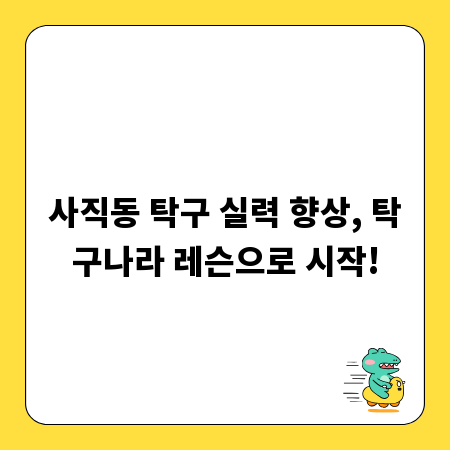 사직동 탁구 실력 향상, 탁구나라 레슨으로 시작!