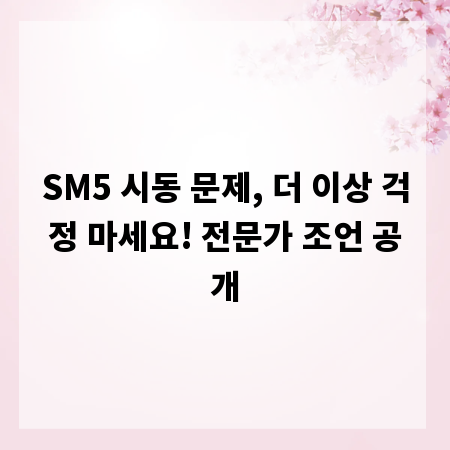 SM5 시동 문제, 더 이상 걱정 마세요! 전문가 조언 공개