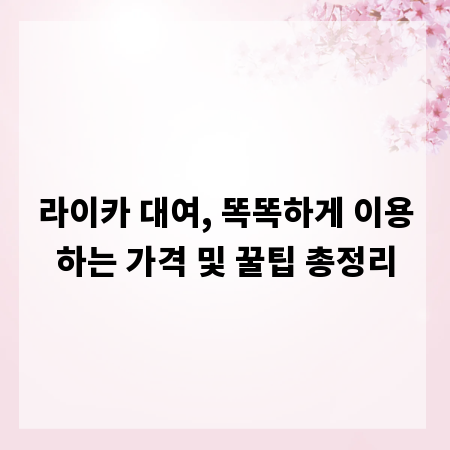 라이카 대여, 똑똑하게 이용하는 가격 및 꿀팁 총정리