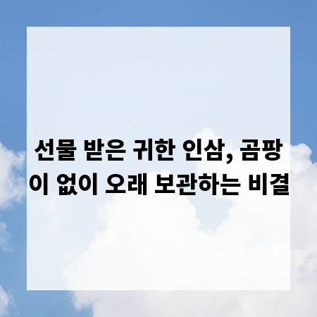 선물 받은 귀한 인삼, 곰팡이 없이 오래 보관하는 비결