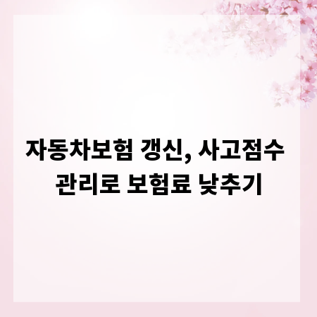 자동차보험 갱신, 사고점수 관리로 보험료 낮추기
