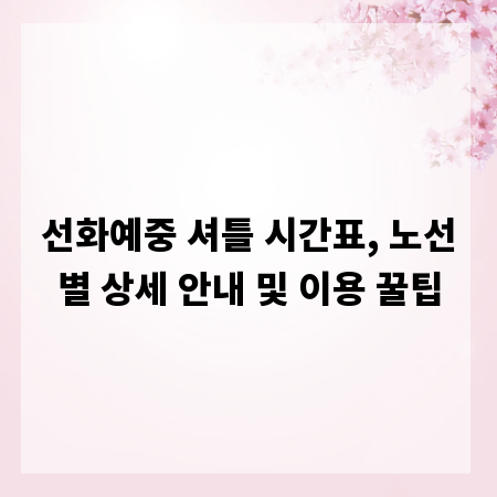 선화예중 셔틀 시간표, 노선별 상세 안내 및 이용 꿀팁